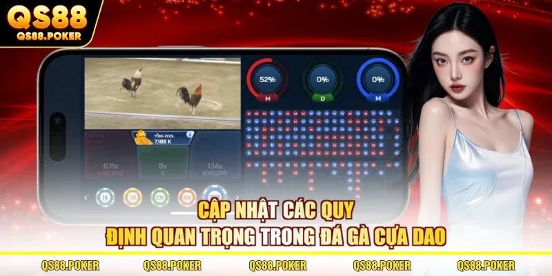 Đá Gà Cựa Dao | Mãn Nhãn Với Hình Thức Chọi Kê Gay Cấn #1 2 Cập nhật các quy định quan trọng trong đá gà cựa dao