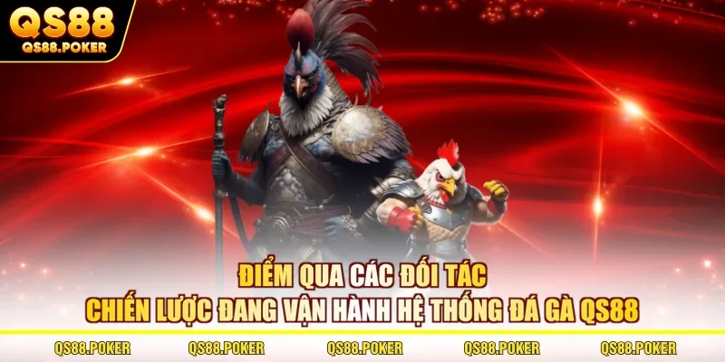 Điểm qua các đối tác chiến lược đang vận hành hệ thống đá gà QS88
