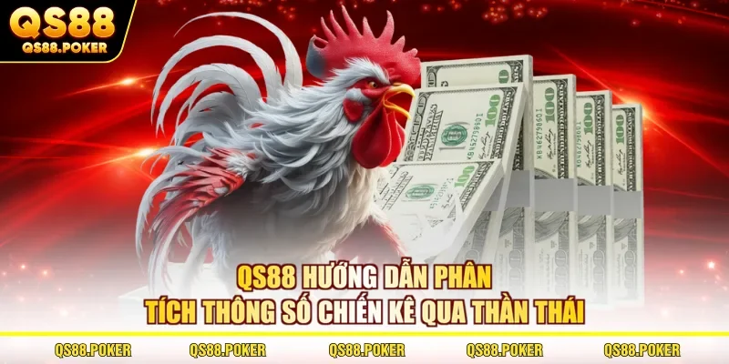 3+ Yếu Tố Phân Tích Thông Số Chiến Kê Quan Trọng Cần Biết 3 QS88 hướng dẫn phân tích thông số chiến kê qua thần thái