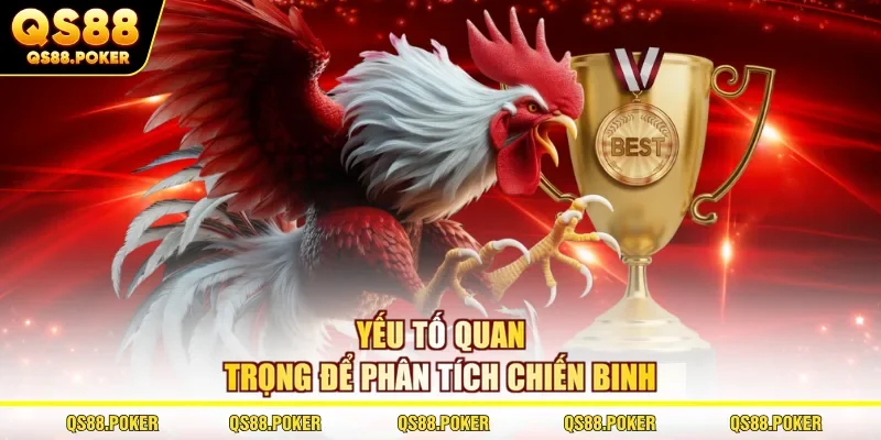 3+ Yếu Tố Phân Tích Thông Số Chiến Kê Quan Trọng Cần Biết 2 Yếu tố quan trọng để phân tích chiến binh